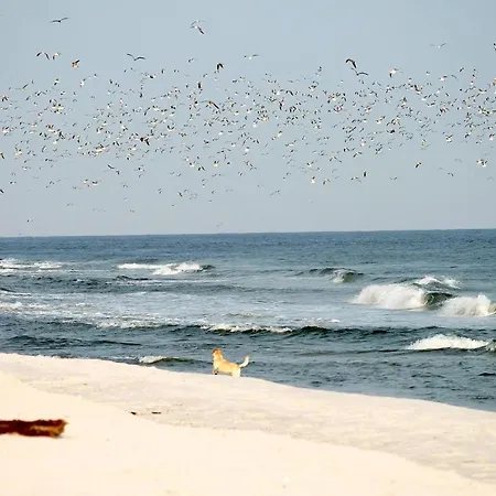 Διαμέρισμα White Pearl 0.07 *