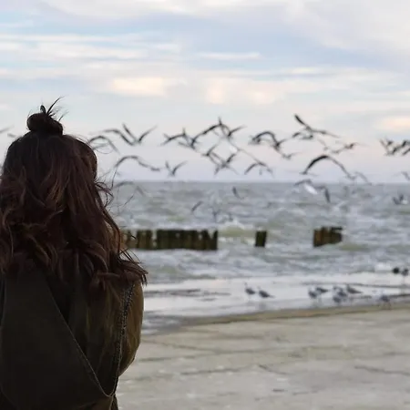 Διαμέρισμα White Pearl 0.07