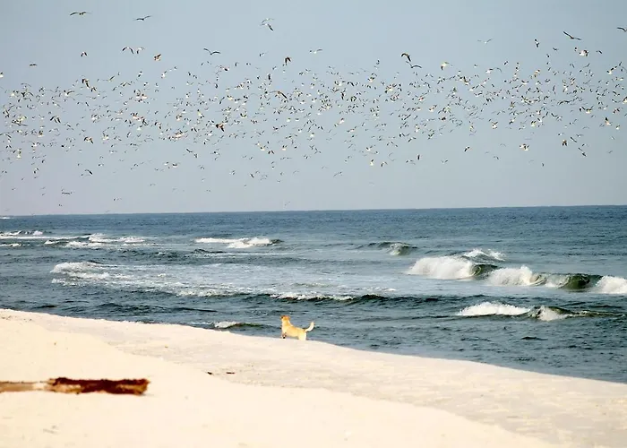 Apartamento White Pearl 0.07 *